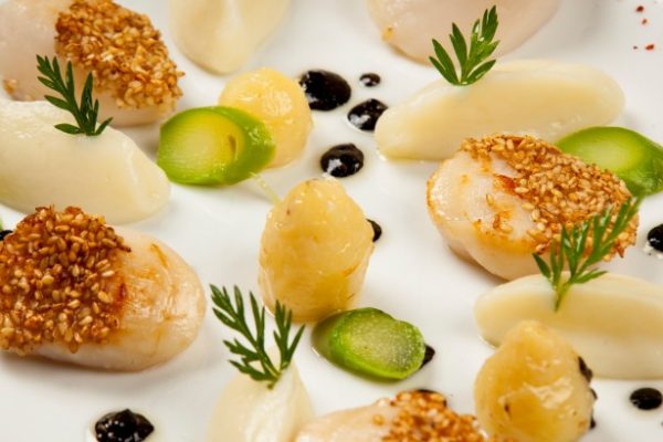 coquilles_saint-jacques